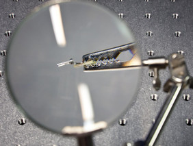 Tip Enhanced Raman Spectroscopy: Mittels feinster Spitzen Moleküle untersuchen.