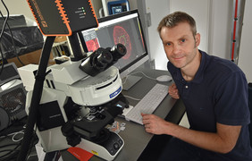 Christian Eggeling vom Leibniz-IPHT und der Friedrich-Schiller-Universität Jena erforscht mit einem internationalen Team, wie der HI-Virus sich vervielfältigt.Foto: Jan-Peter Kasper/ Friedrich-Schiller-Universität Jena