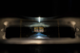 A microarray with spots of plasmonic gold nanoparticles.Picture: Sven Döring/ Leibniz-IPHT