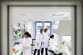 Wissenschaftler vom IPHT und des Uniklinikums Jena führen die Raman-spektroskopische Analyse von Leukozyten im Hemospec Projekt durch. (IPHT/Döring)
