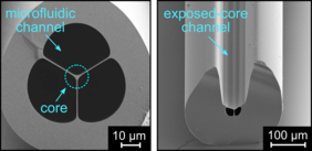 SEM image of the two fiber structures used for sensing