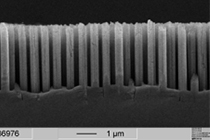 Nanodrähte aus Silizium, die in den Halbleiterdioden eingesetzt werden. Quelle: IPHT Jena