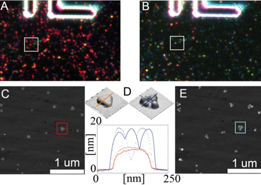 optical and morphological change
