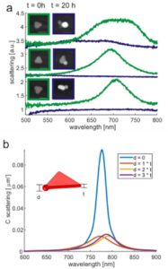 Nanoprismen 3